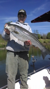 img_20140417_163823554