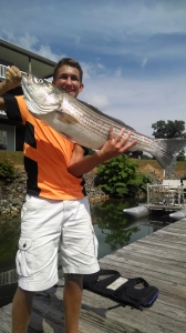 striper-fishing-smith-mountain-lake