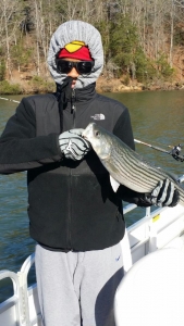 20150328_093452.jpg