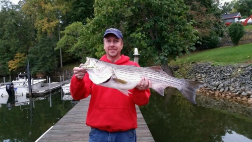 ART_1412984106156_20141010_180943