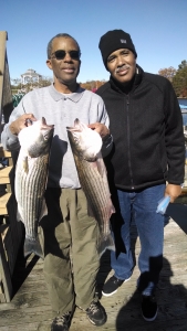 IMG_20141112_120737541