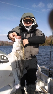 IMG_20141114_105654475