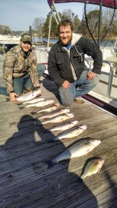 IMG_20141213_120554730_HDR