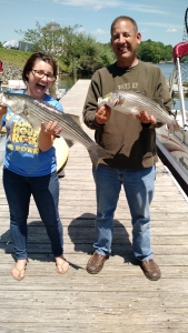 IMG_20150512_121812936_TOP