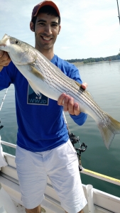 IMG_20150528_100748246