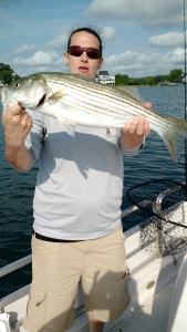 IMG_20150607_090644533