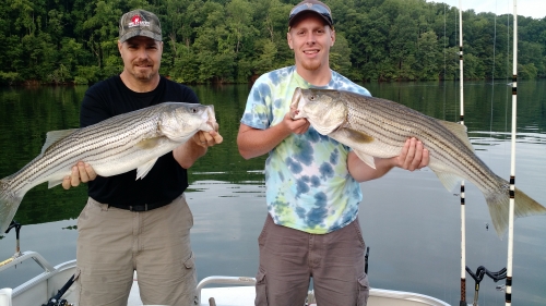 IMG_20150608_070414484