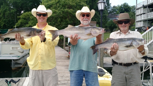 IMG_20150617_110833814