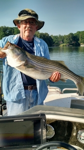 IMG_20150618_081724626_HDR