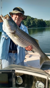 IMG_20150618_081735853_HDR