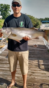 IMG_20150618_092034703_HDR