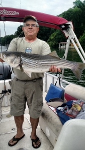 IMG_20150626_123929315