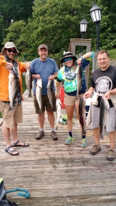 IMG_20150706_093518427