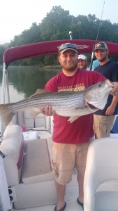 IMG_20150707_065721163