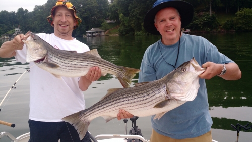 IMG_20150708_081952126