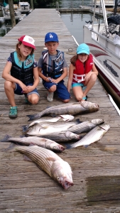 IMG_20150708_094237629