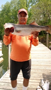 Smith Mountain Lake fishing guide.jpg