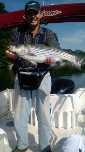 IMG_20160603_091735780