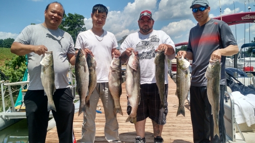 IMG_20160606_122129328_HDR