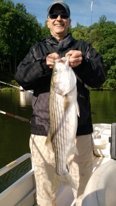 striper fishing guide Smith Mountain Lake