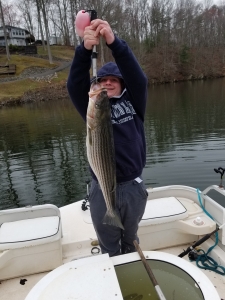 20180403_091704