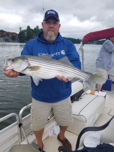 Smith-Mountain-Lake-striper-fishing-guide
