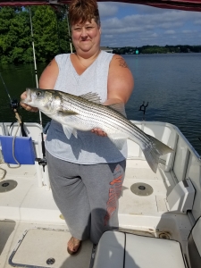 striper-fishing-charters-Smith-Mountain-Lake