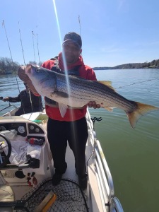 fishing-guide-Smith-Mountain-Lake
