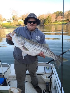 striper-fishing-charter-Smith-Mountain-Lake