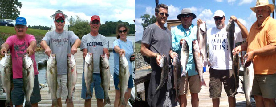 Smith Mountain Lake Striper Guides